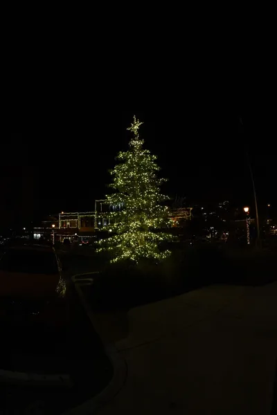 DSC_0014 (Large).JPG